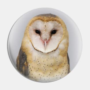 Portrait of a Sweet Barn Owl Named Sara Pin