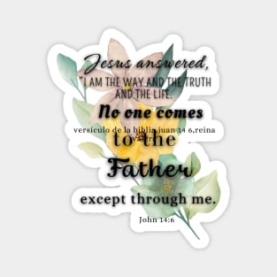 John 14:6 Magnet