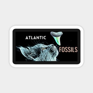 Cat and Atlantic Fossils Shark Tooth Magnet