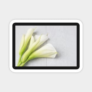 Elegant spring flower, calla lily Magnet