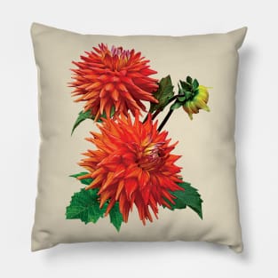 Dahlia Hot Shot Pillow