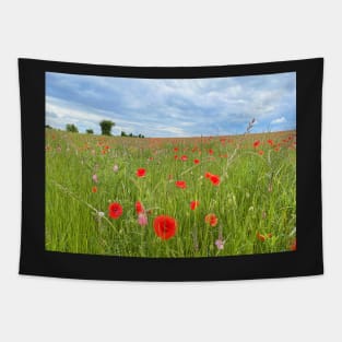 Poppy Field, Cotswolds Tapestry