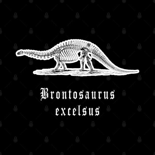 🦖 Fossil Skeleton of a Brontosaurus excelsus Dinosaur by Pixoplanet