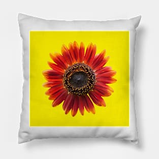 Red and Gold Pillow