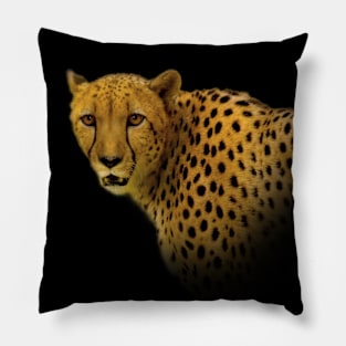 Face to Face with a Magnificent Cheetah Pillow