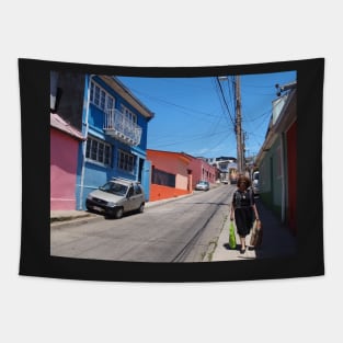 valparaiso street Tapestry