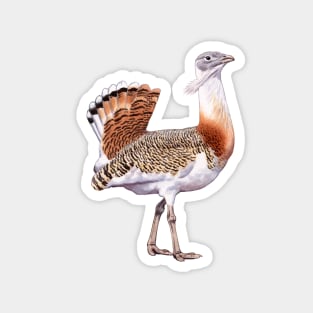 Great Bustard Magnet