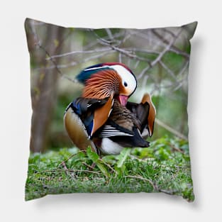 Mandarin duck / Swiss Artwork Photography Pillow