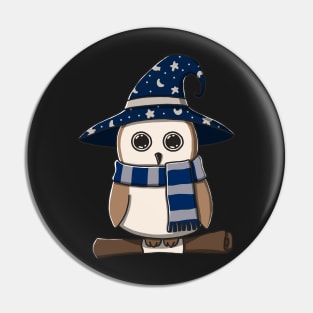 Brown Owl In Witch Costume Pin