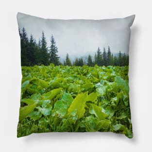 green meadow Pillow