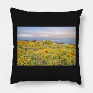 Monterey Wildflowers Pillow