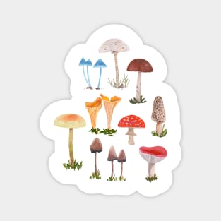 Mushrooms Magnet