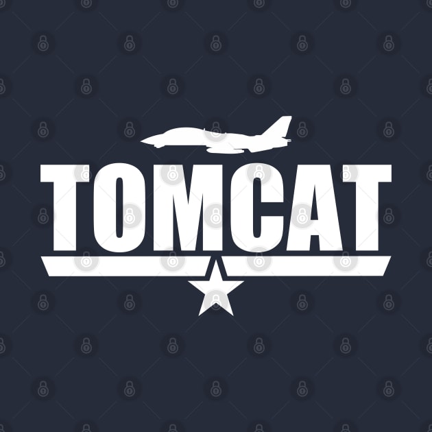 F-14 Tomcat by TCP