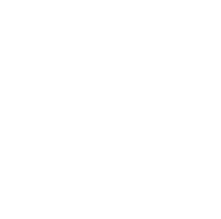 ZODIAC • VIRGO Magnet