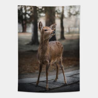 Sika Deer Tapestry
