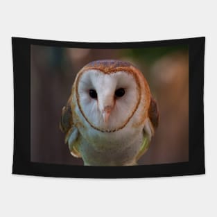 Barn Owl Tapestry