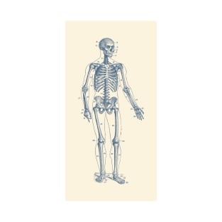 Forward Facing Skeletal Diagram - Vintage Anatomy Poster T-Shirt