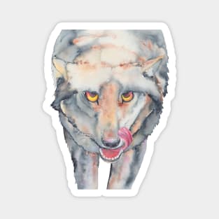 Big Bad Wolf Watercolour Magnet