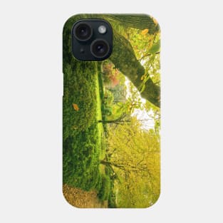 Chimney Cottage, Mount Wilson, Blue Mountains, Sydney, NSW, Australia Phone Case