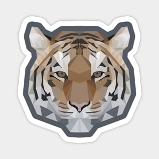 TIGER Magnet