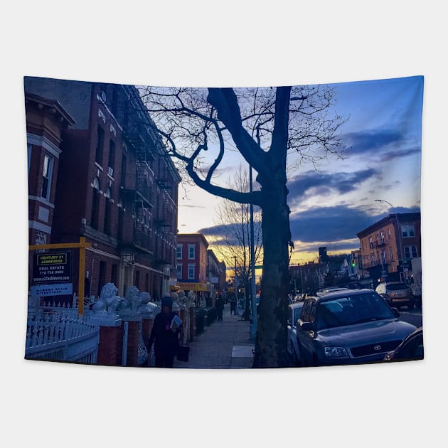 Sunset, Flatbush, Brooklyn, NYC Tapestry by eleonoraingrid