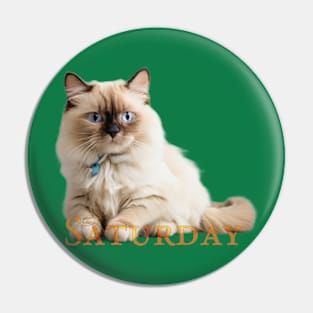 Saturday Cat!. Enjoy it (the saturday and the cat) Pin