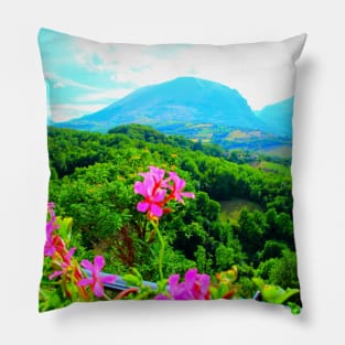 Scenery from Montefortino with flowers, thickets, fields and Sibillini Pillow