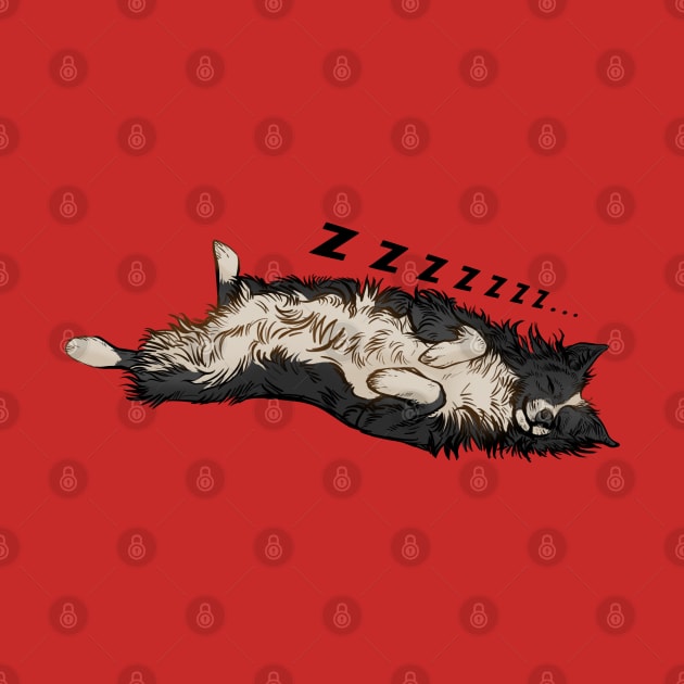 Snooze Border collie by Pandemonium