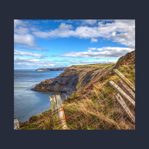 The Cleveland Way, Yorkshire, England by tommysphotos