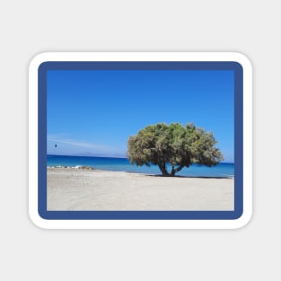 Tree on the seashore Magnet