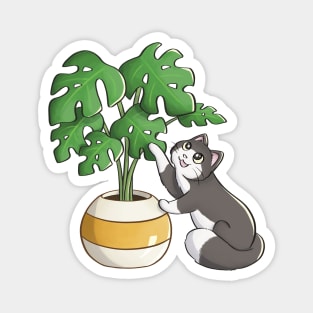 Cat Playing With Monstera Leaf Magnet