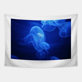 Moon Jelly Tapestry