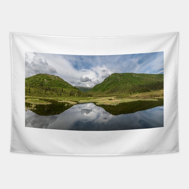 Mountain Pond Panorama Tapestry by andykazie