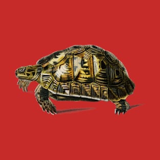 Vintage tortoise reptile animal T-Shirt