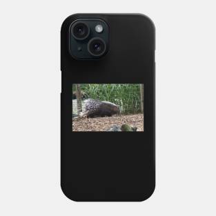 African Crested Porcupine Phone Case