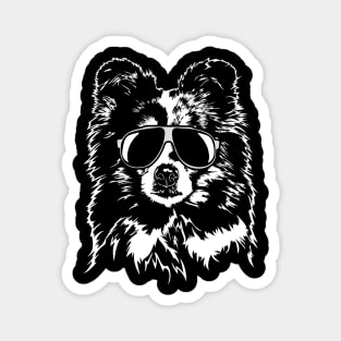 Funny Sheltie Shetland Sheepdog cool dog portrait Magnet