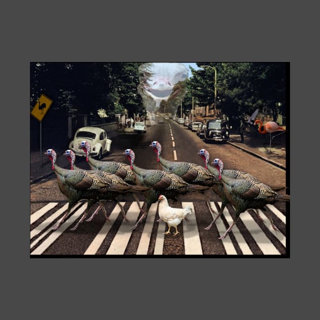 Abbey Road Without Beatles but with Birds by Cole Hunt