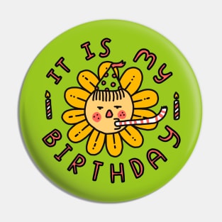 It is my birthday Pin