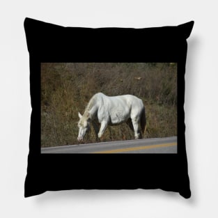 Wild Horse Pillow