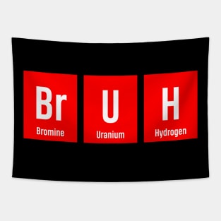 Bruh Chemistry Periodic Tapestry