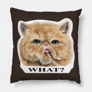 Persian Cat, What, T-Shirt Pillow