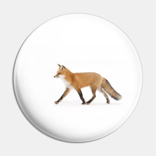 Red Fox - Algonquin Park Pin