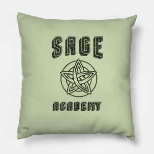 American School for Magical Arts Pillow