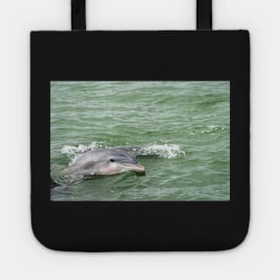 A Dolphin Hello Tote