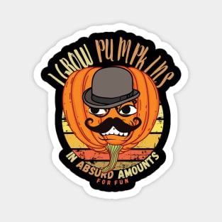 I Grow Pumpkins In Absurd Amounts For Fun Magnet