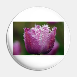 Pink Tulip Pin