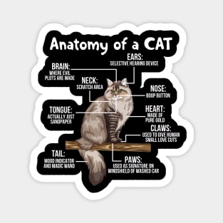 Funny Anatomy Of A Cat - Cute Funny Kitty Kitten Feline Pet Lover Magnet