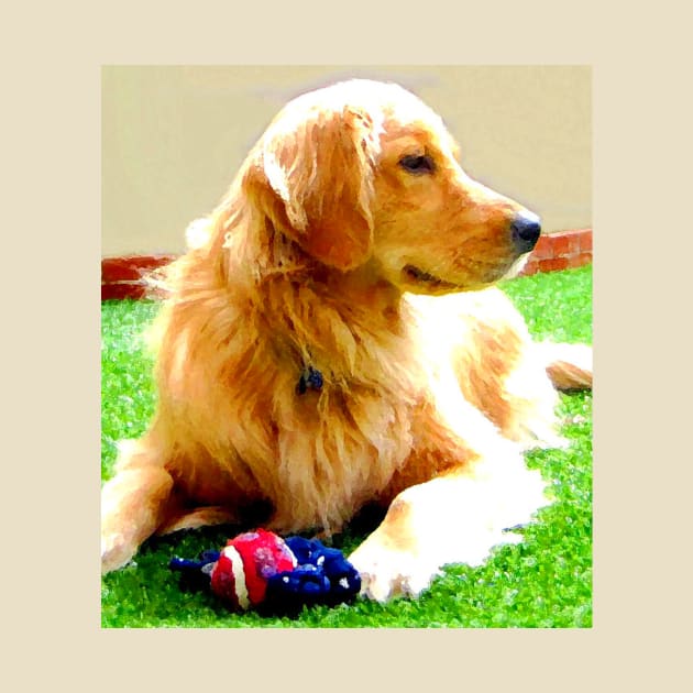 Golden Retriever Dog - Dallas by CarloVaro