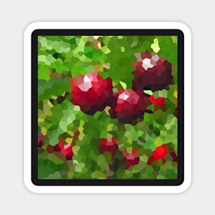 Pixelated Cherry Magnet