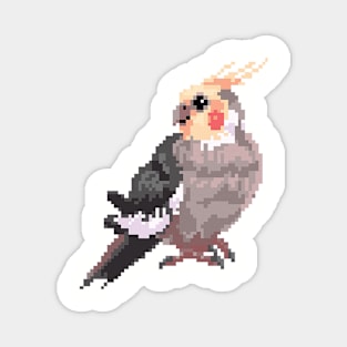 Pixel Cockatiel Test Magnet